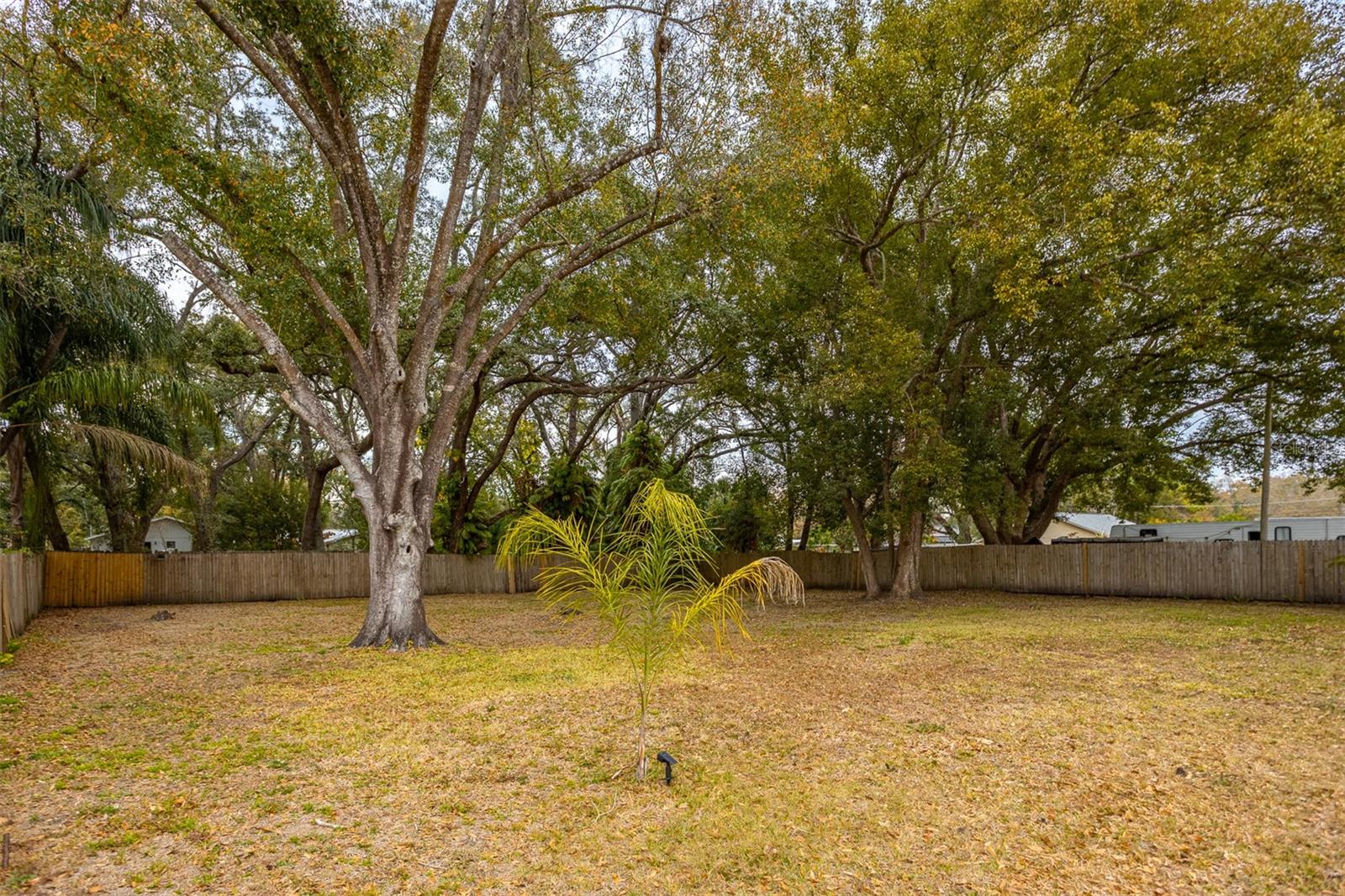 Image 38 of 51 For 1905 Burke Street