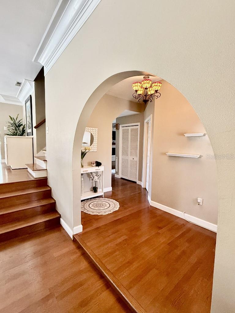 Image 4 of 49 For 2563 Knotty Pine Way