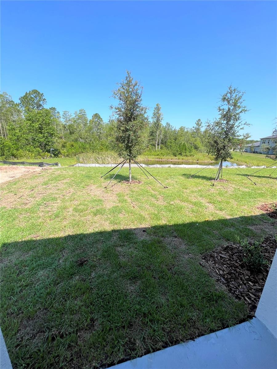 Image 23 of 28 For 16831 Forge Surf Street