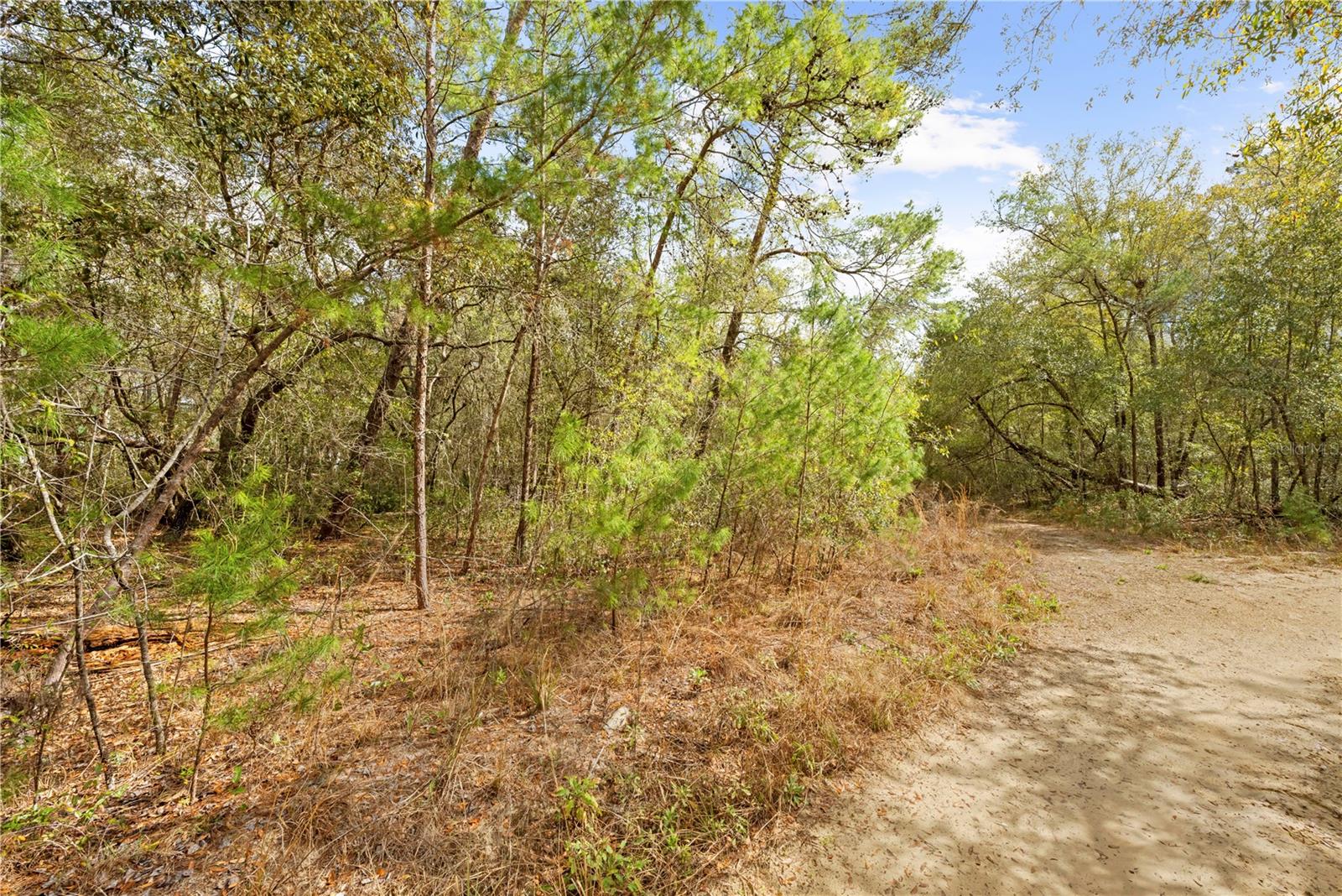 Listing photo id 8 for 2810 Collins Street