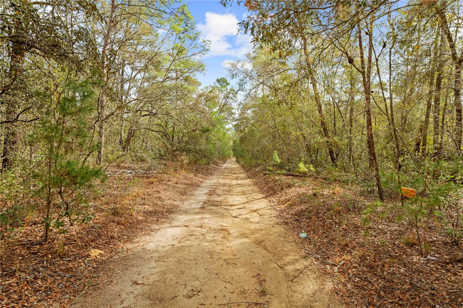 Listing photo id 9 for 2810 Collins Street