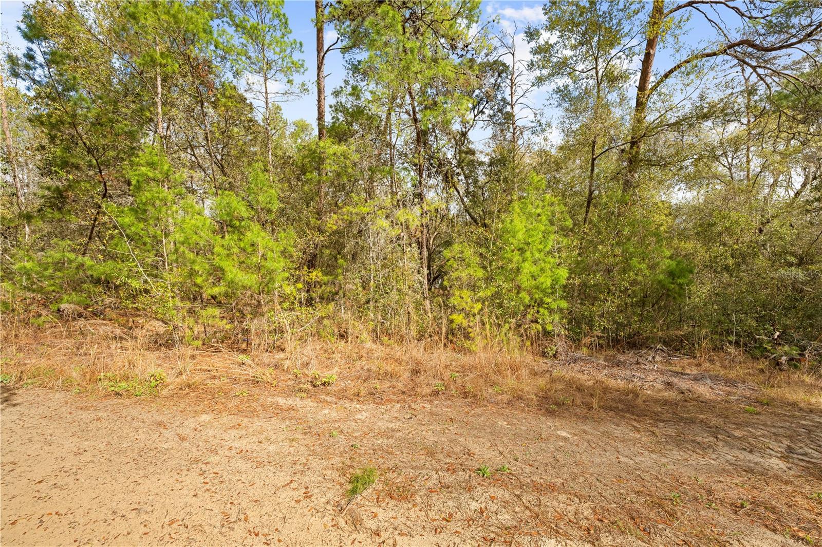 Listing photo id 10 for 2810 Collins Street