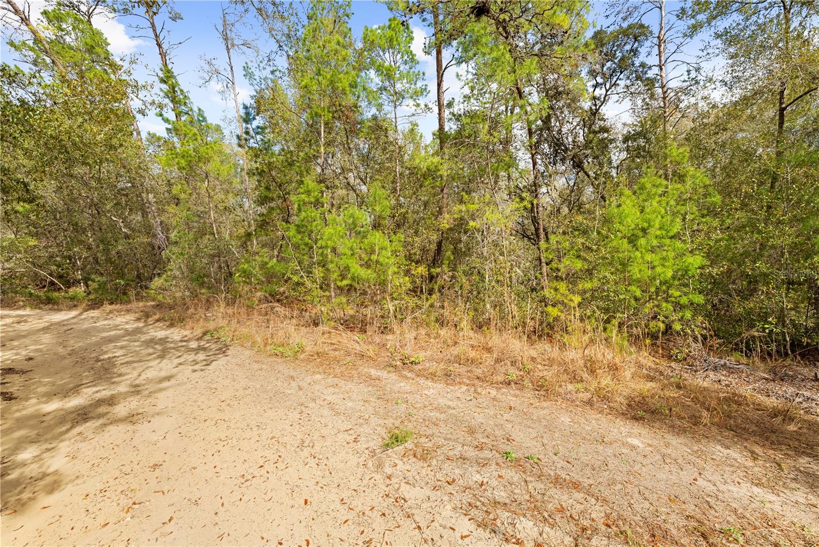 Listing photo id 11 for 2810 Collins Street