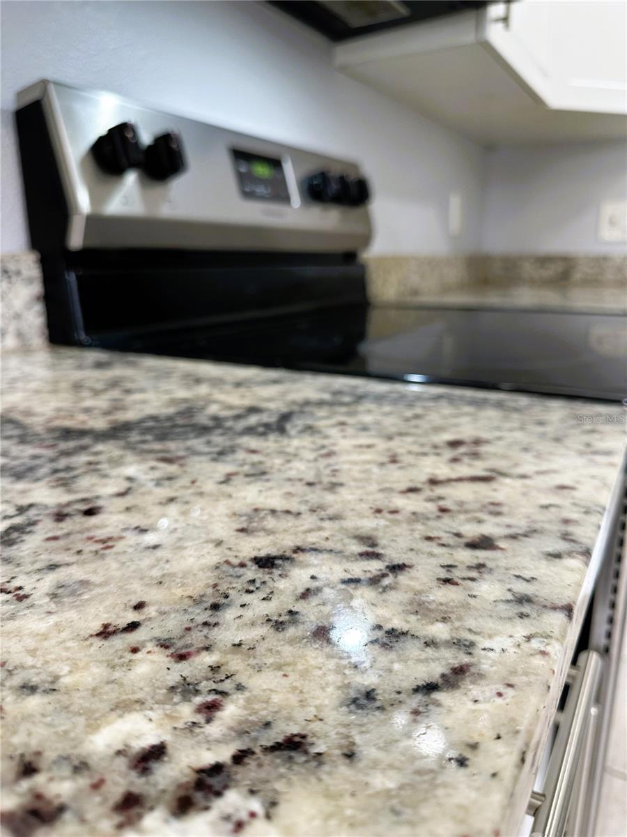 Image 12 of 23 For 1808 Bougainvillea Avenue