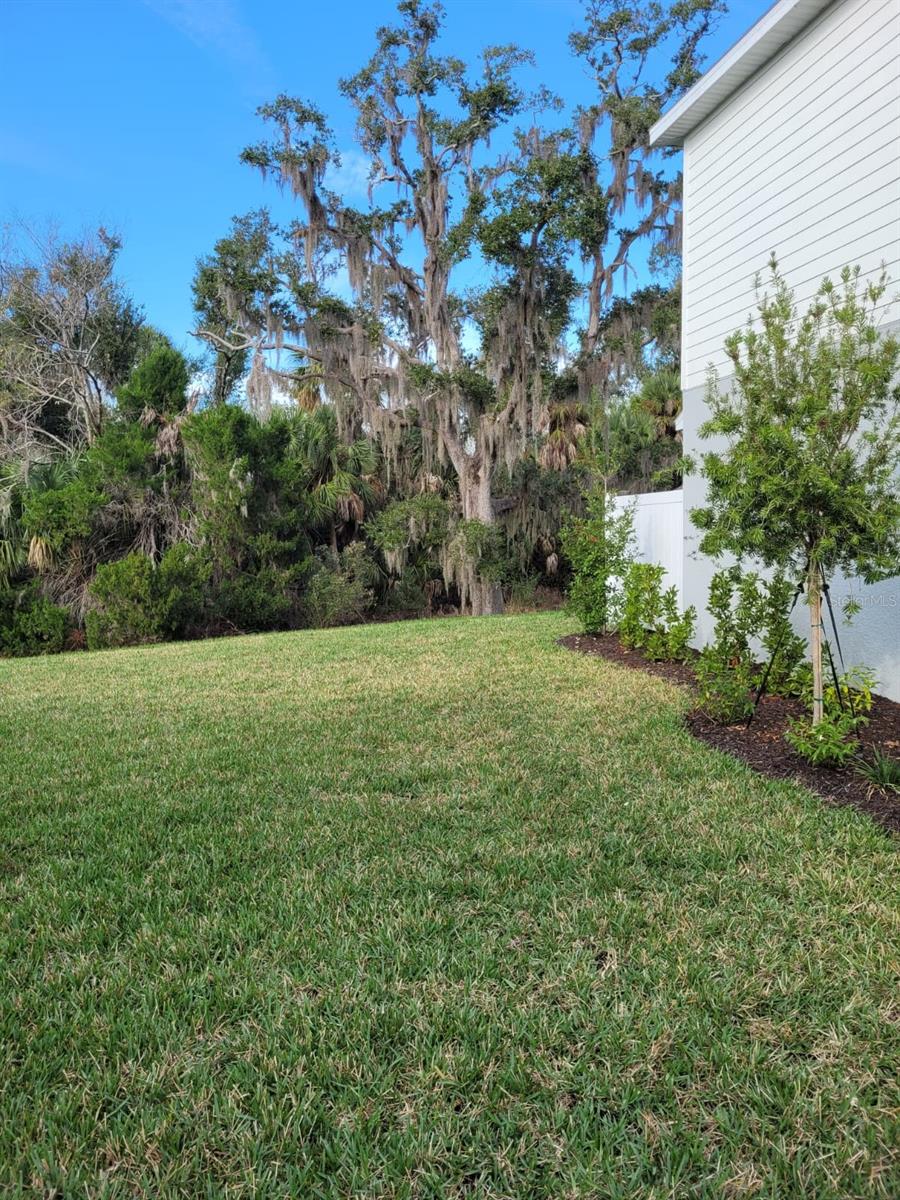 Image 22 of 31 For 8425 Lunar Skye Street