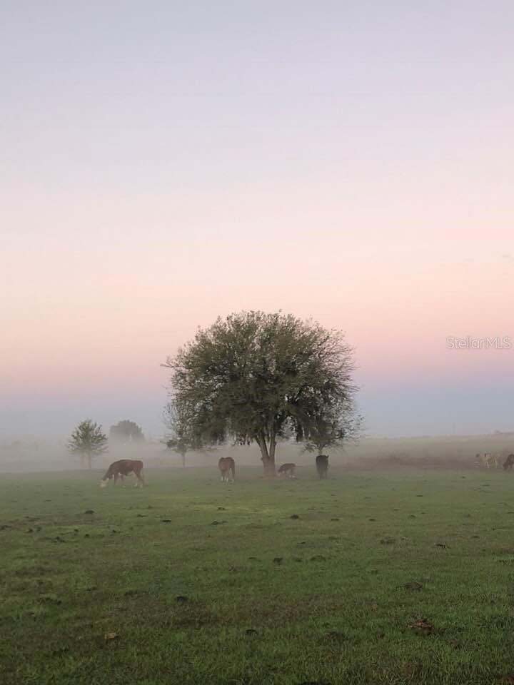 Image 59 of 71 For 15721 Colding Loop