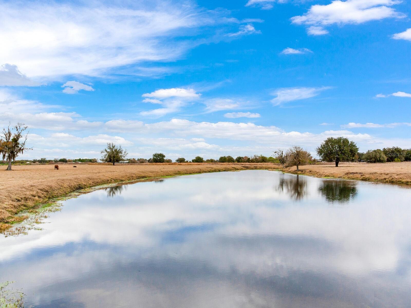 Image 62 of 71 For 15721 Colding Loop