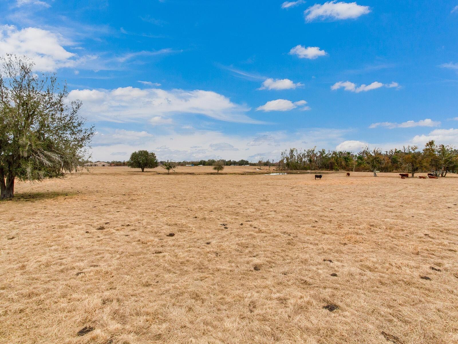 Image 64 of 71 For 15721 Colding Loop