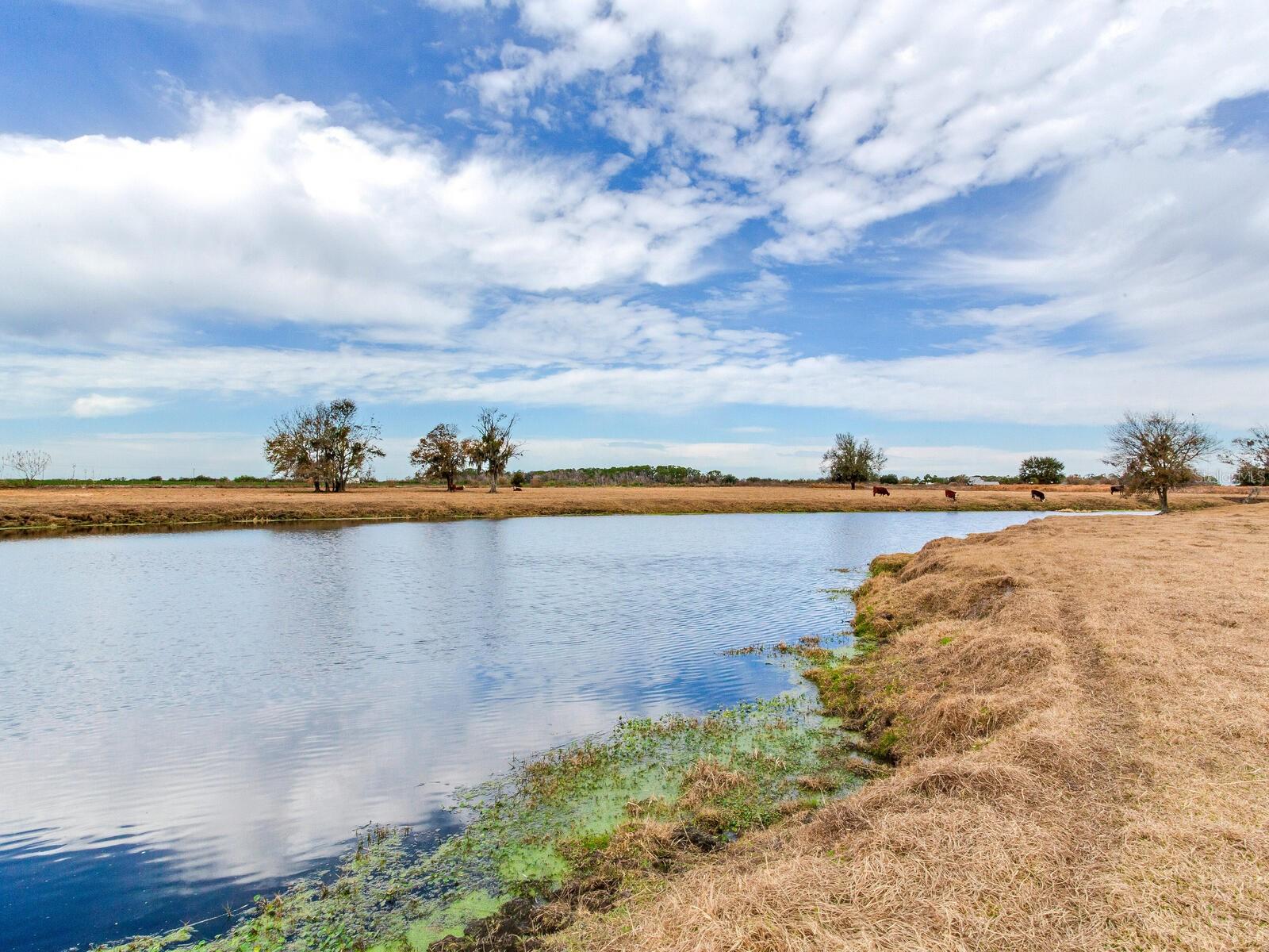 Image 65 of 71 For 15721 Colding Loop