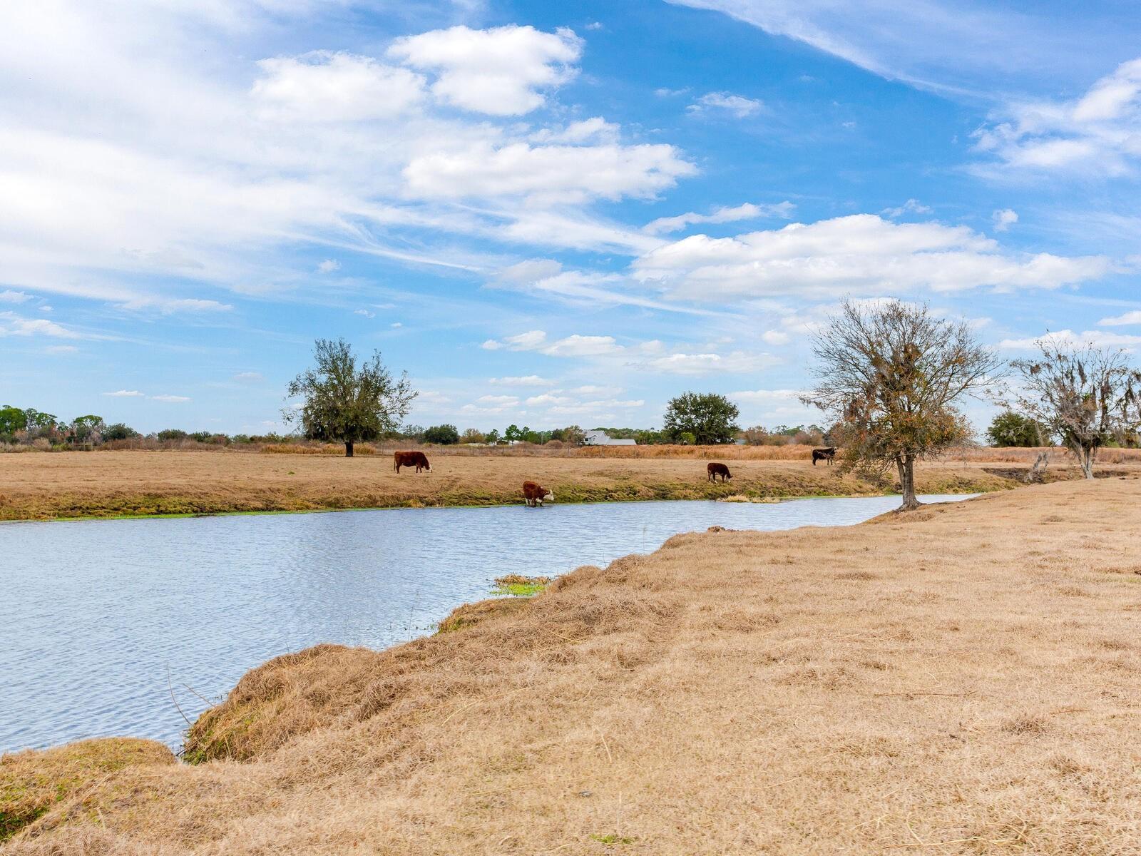 Image 66 of 71 For 15721 Colding Loop