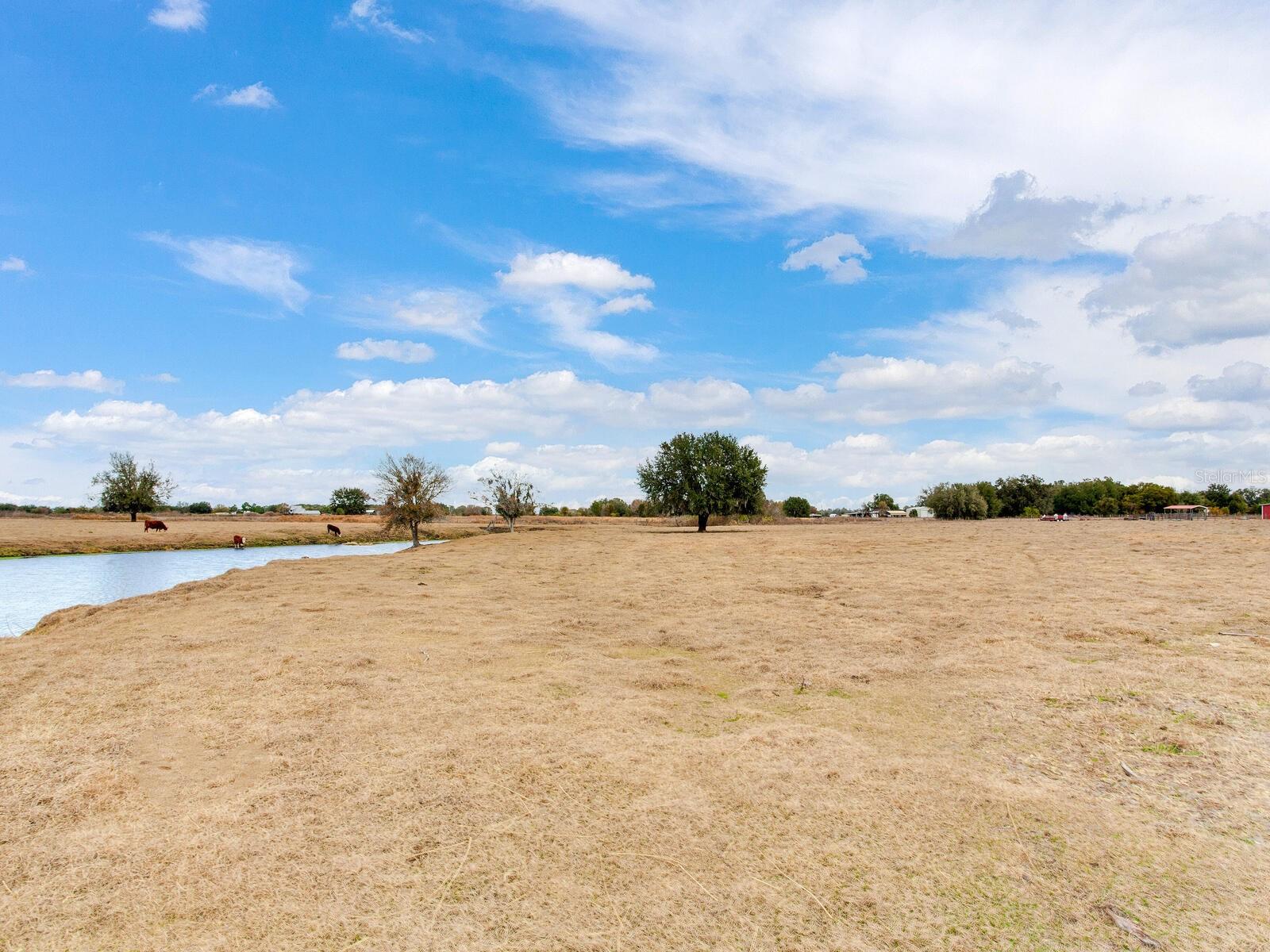 Image 68 of 71 For 15721 Colding Loop