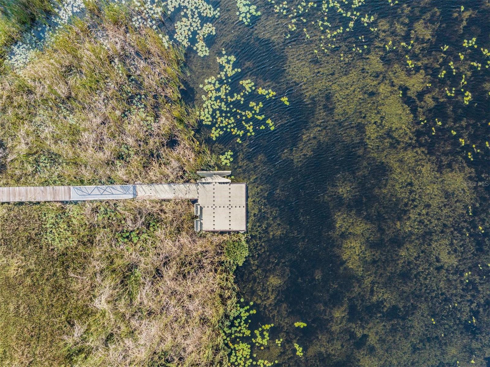 Image 59 of 99 For 31364 Tansy Bend