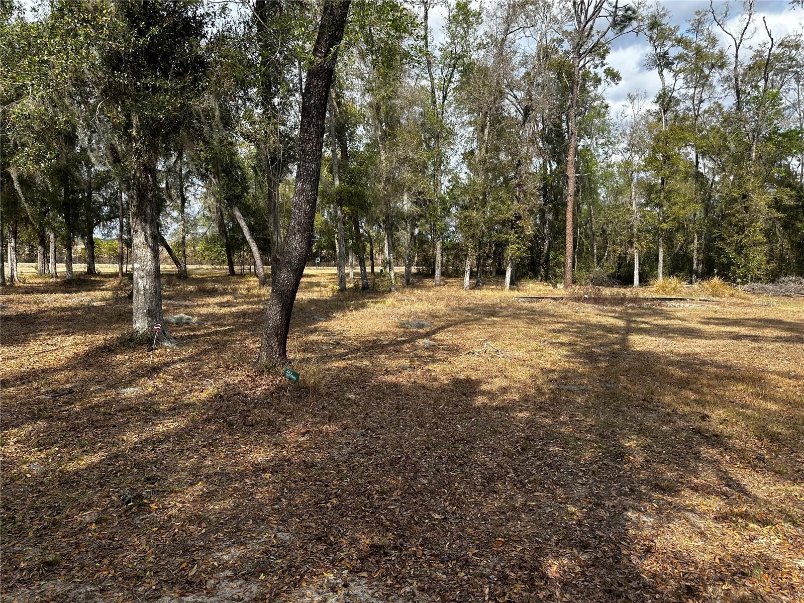 Image 8 of 13 For 12755 Moonraker Terrace