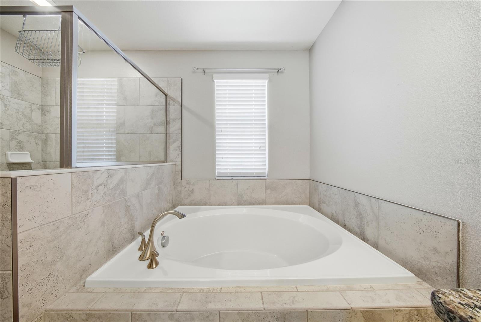 Image 32 of 53 For 13917 Roseate Tern Lane