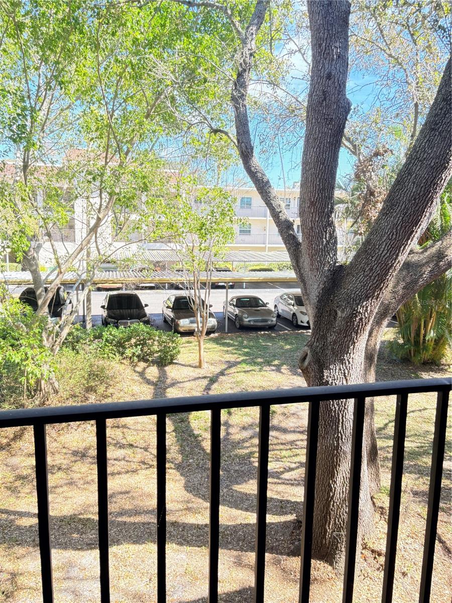 Image 28 of 42 For 820 Virginia Street 212