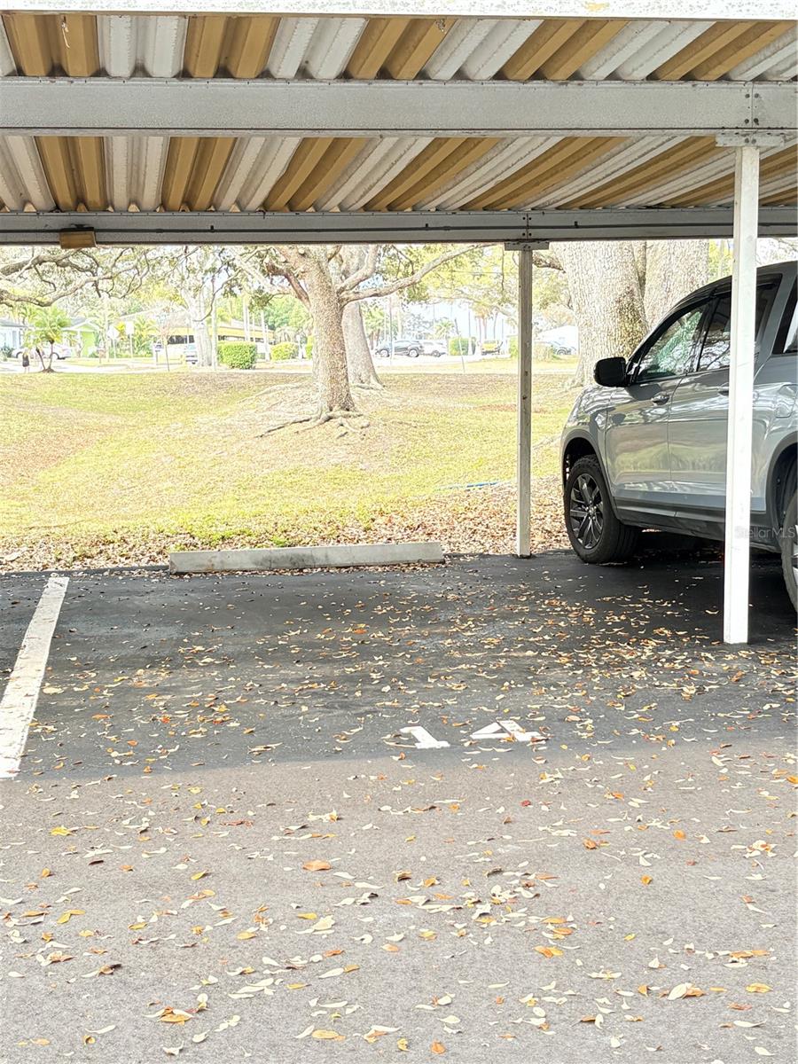 Image 33 of 42 For 820 Virginia Street 212