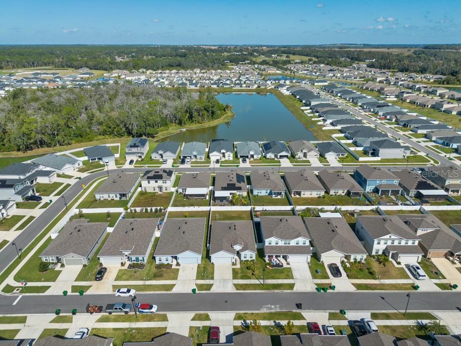 Image 46 of 51 For 35649 Osprey Perch Lane