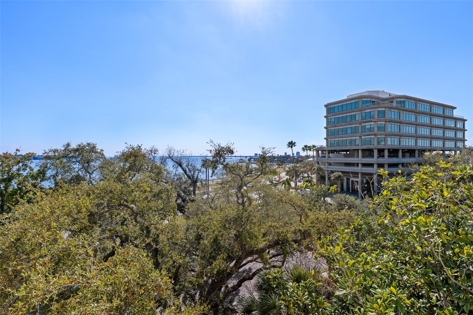 Listing photo id 41 for 509 Bay Street 303