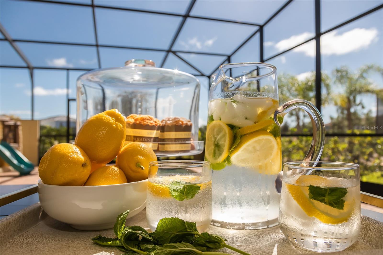 Listing photo id 30 for 4662 Terrasonesta Drive