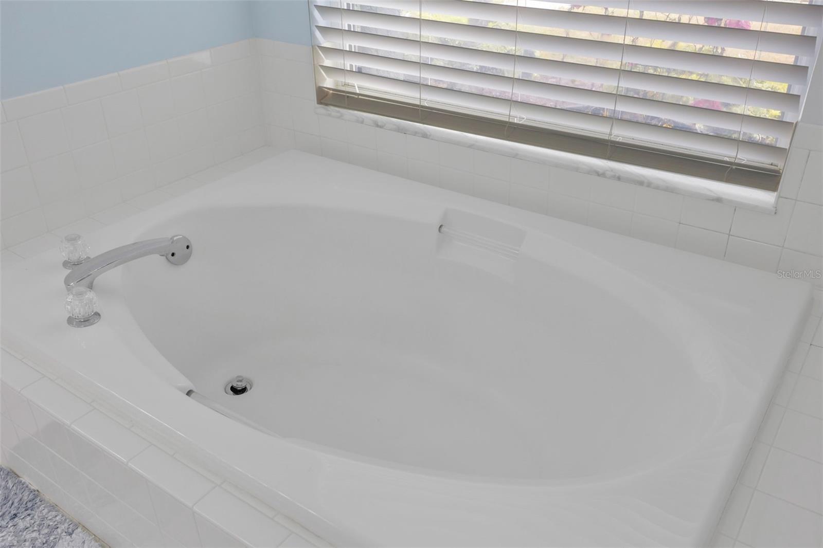 Listing photo id 35 for 28703 Crooked Stick Court