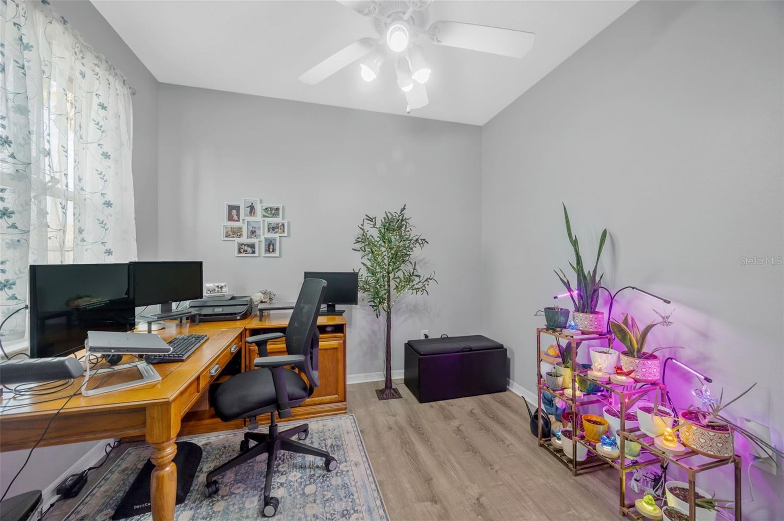 Listing photo id 46 for 28703 Crooked Stick Court