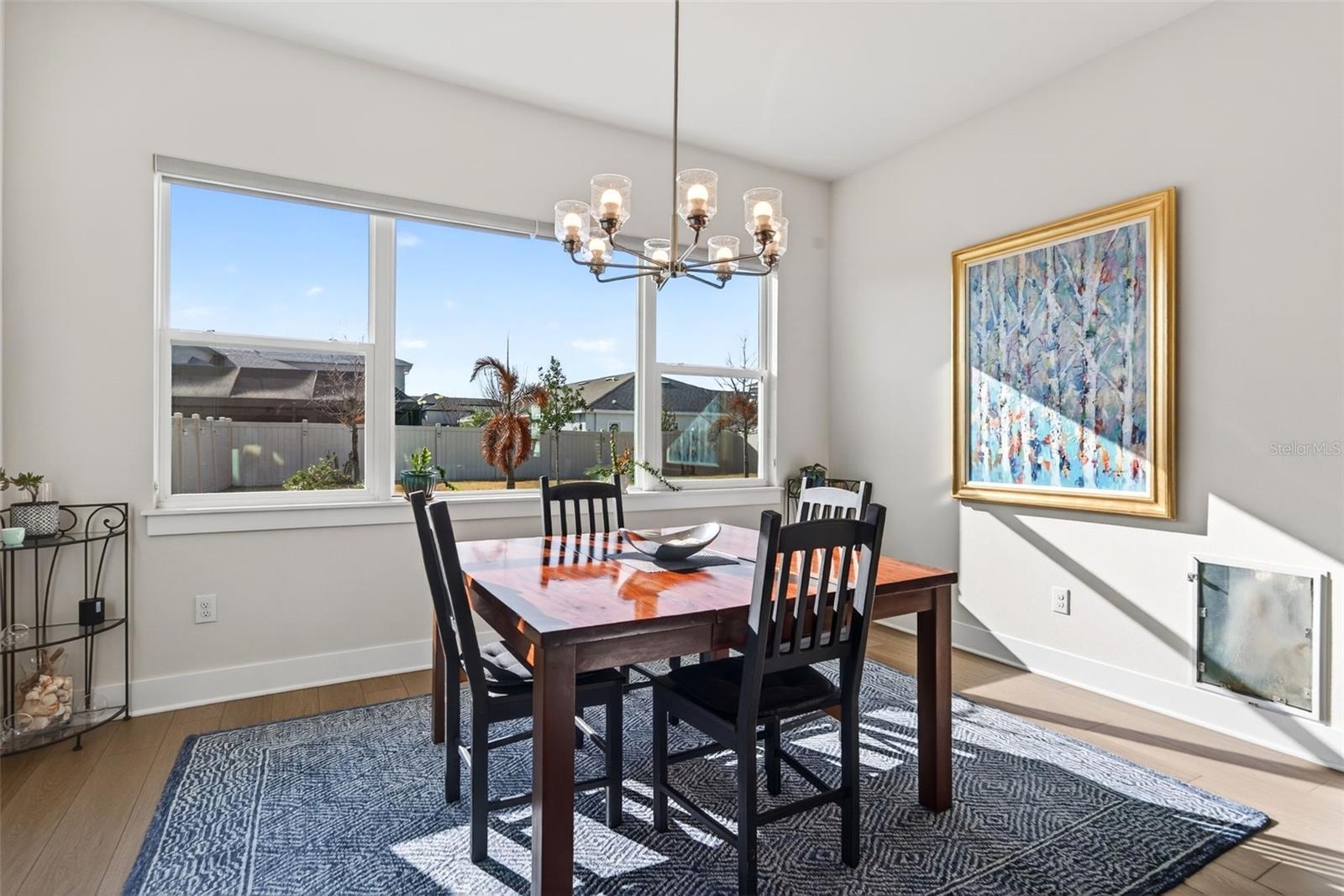 Image 31 of 94 For 8903 Drummer Plank Drive