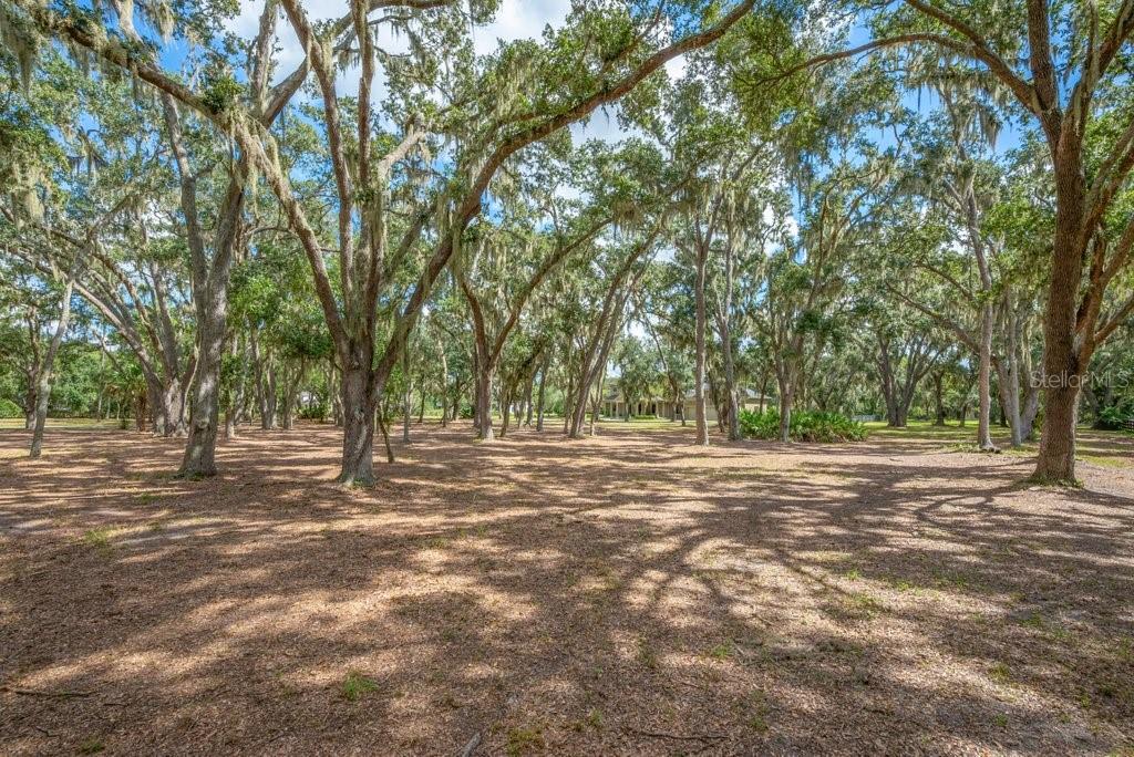 Image 85 of 85 For 11832 Neal Road