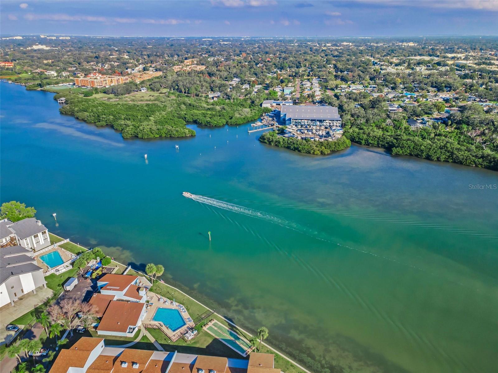 Listing photo id 74 for 1 Windrush Boulevard 51