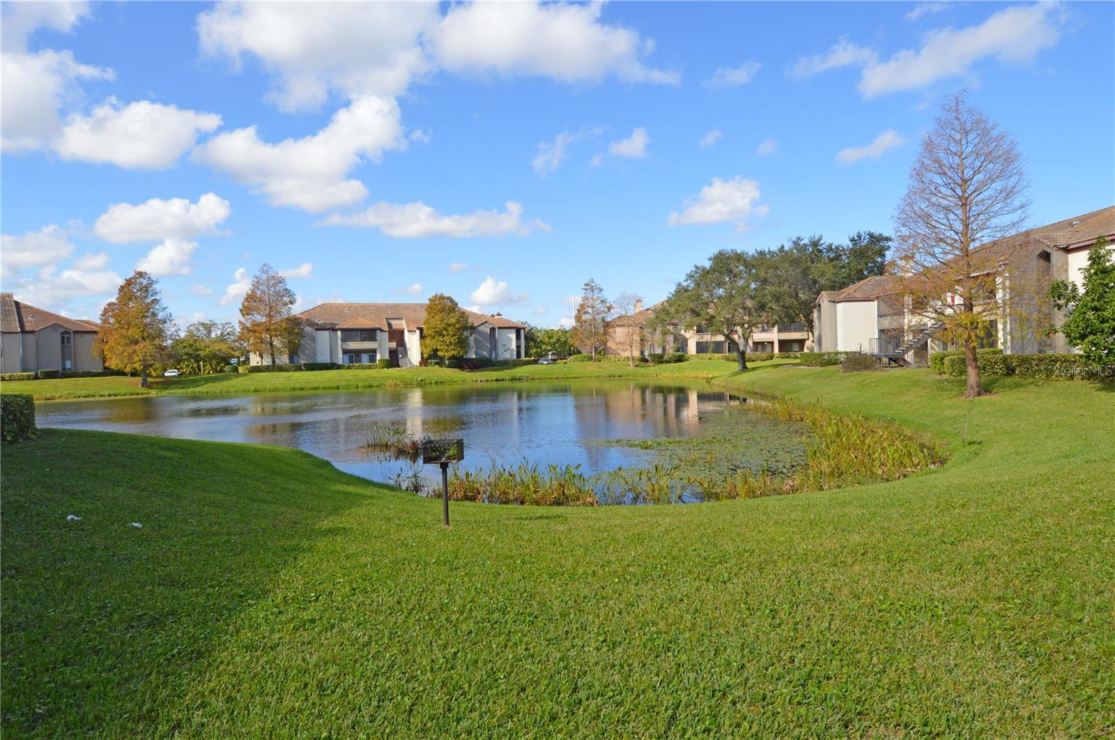 Image 47 of 94 For 10263 Gandy Boulevard N 602