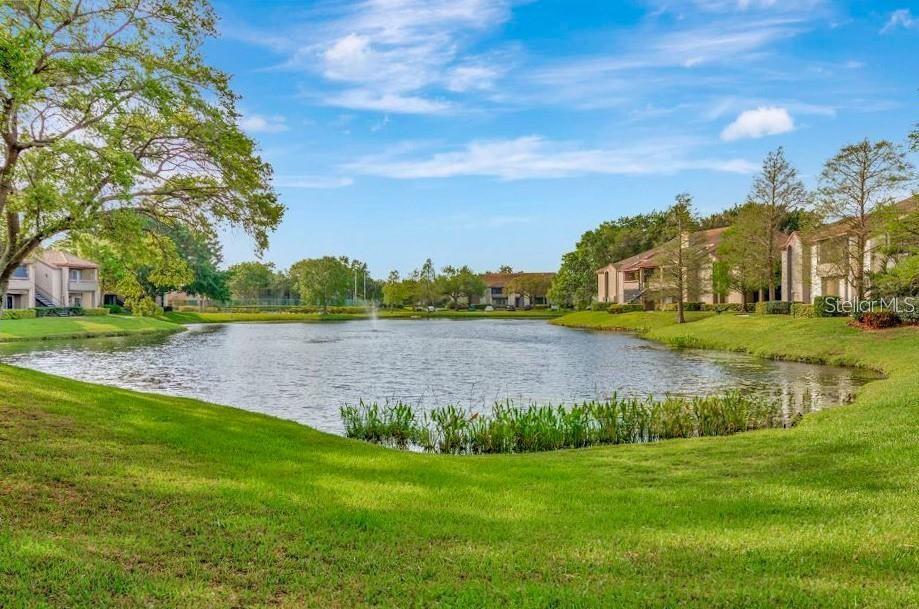 Image 48 of 94 For 10263 Gandy Boulevard N 602