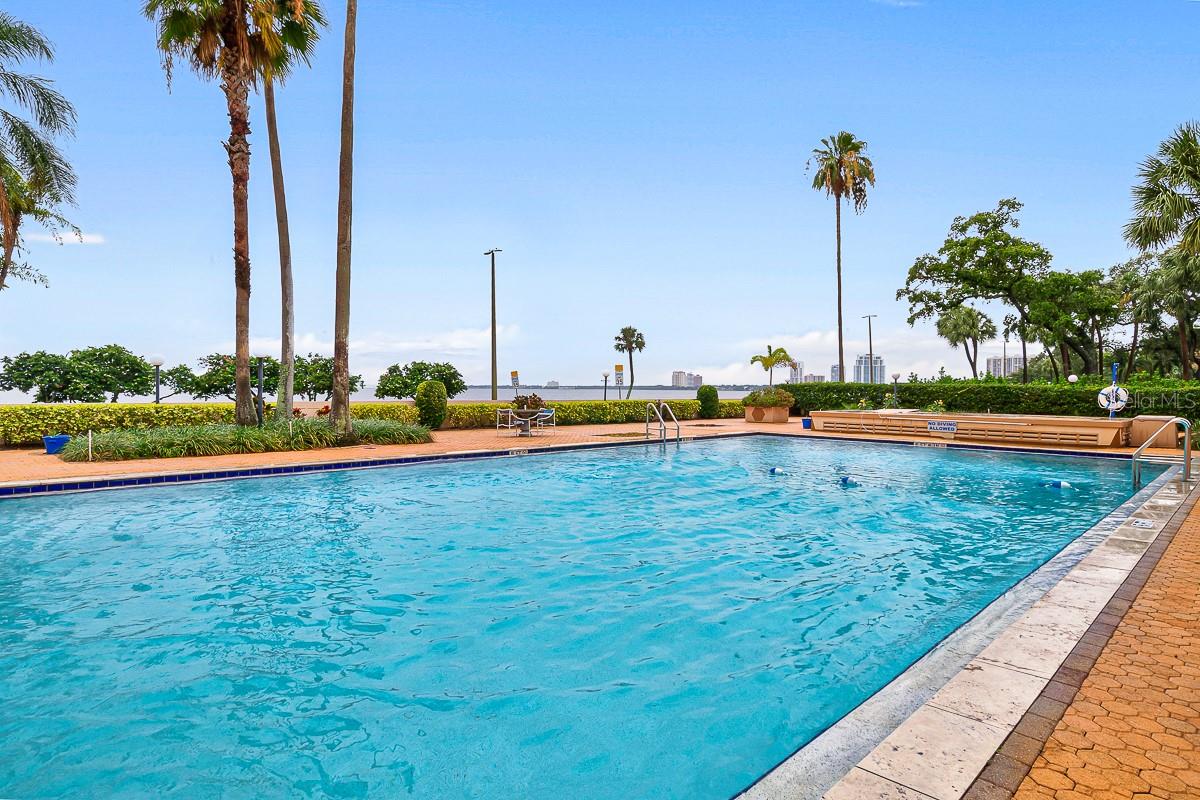 Image 3 of 34 For 2401 Bayshore Boulevard 1003