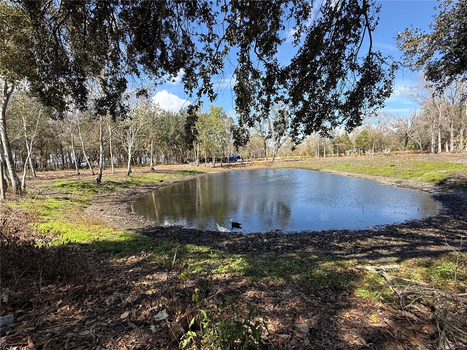 Image 2 of 44 For 6001 Five Acre Road