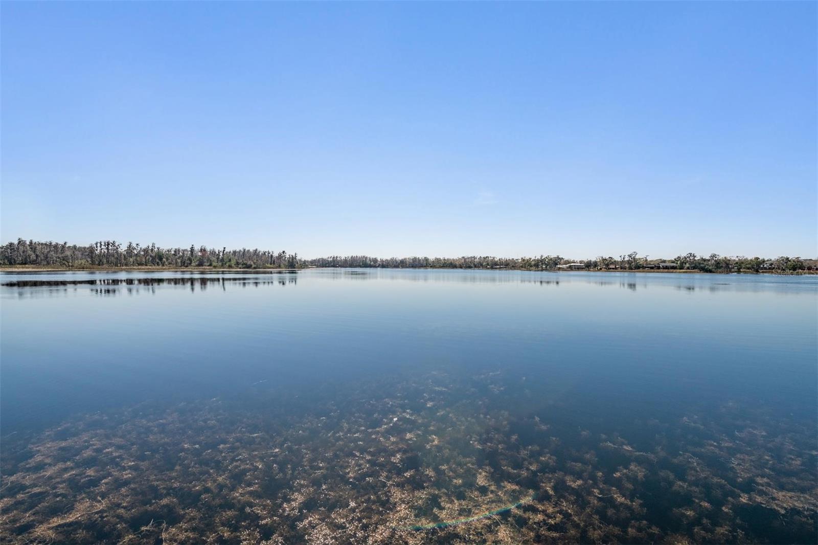 Listing photo id 41 for 18200 Cypress Cove Lane