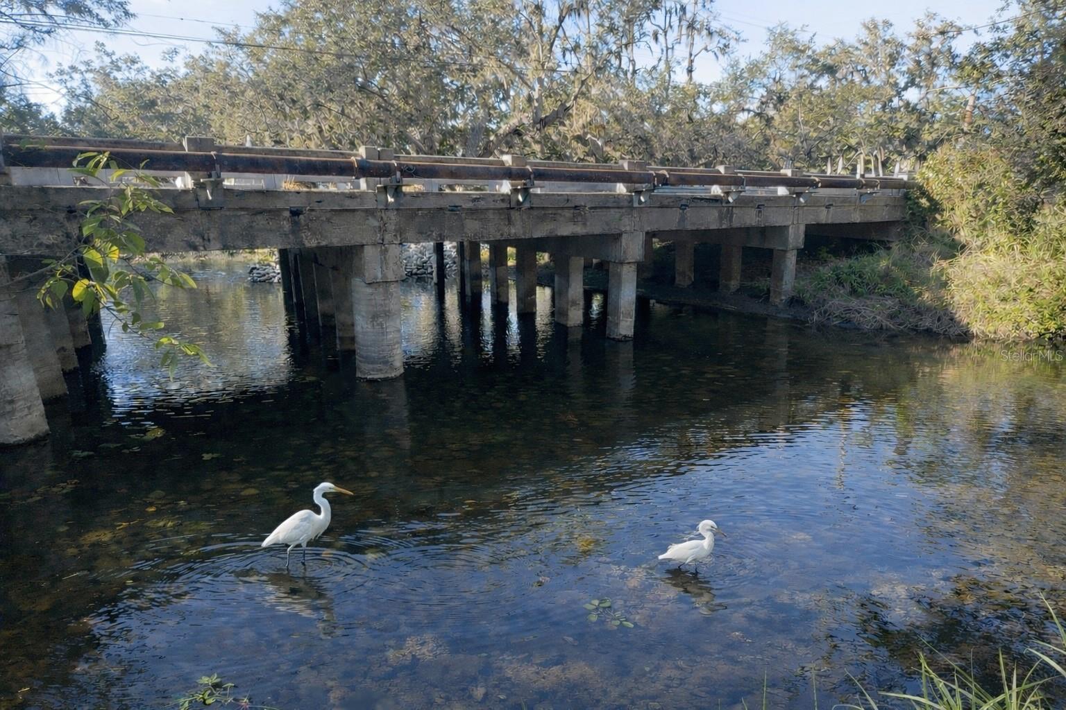 Image 2 of 5 For 8312 18th Avenue E