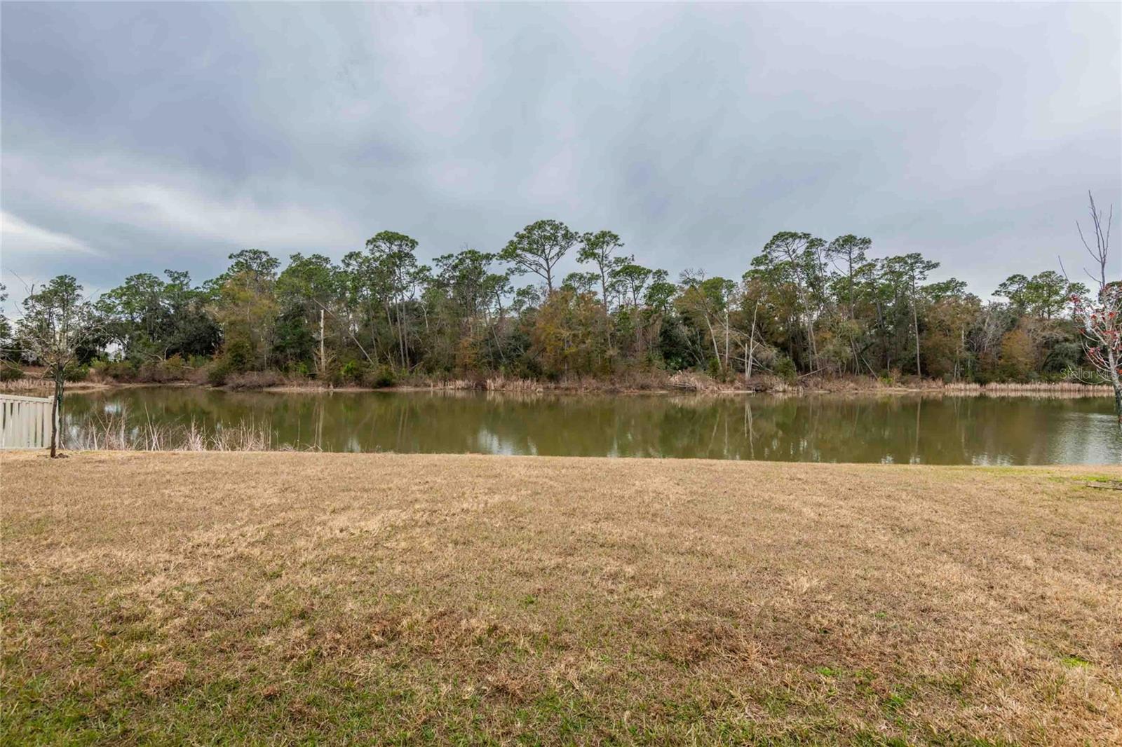 Image 5 of 54 For 2759 Lotus Flower Trail