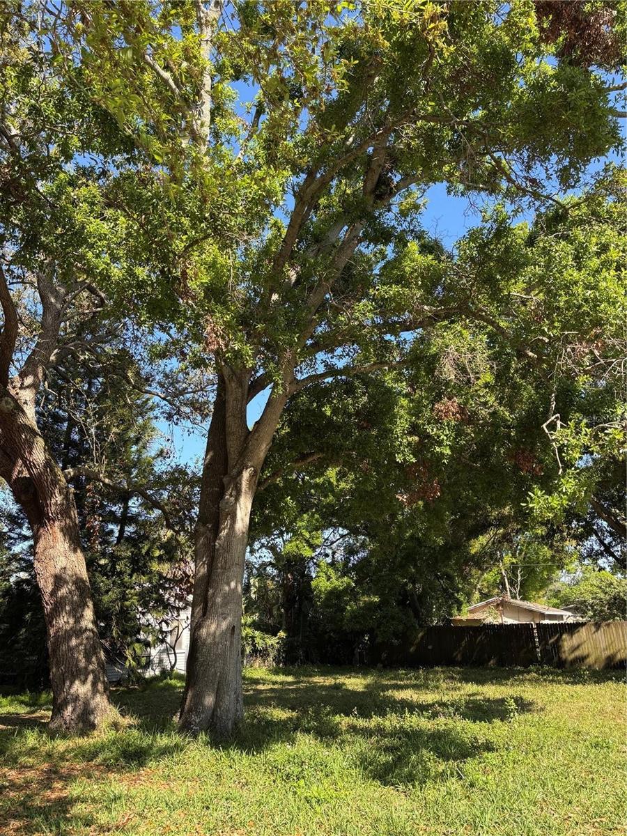 Image 2 of 2 For 2671 61st Avenue N