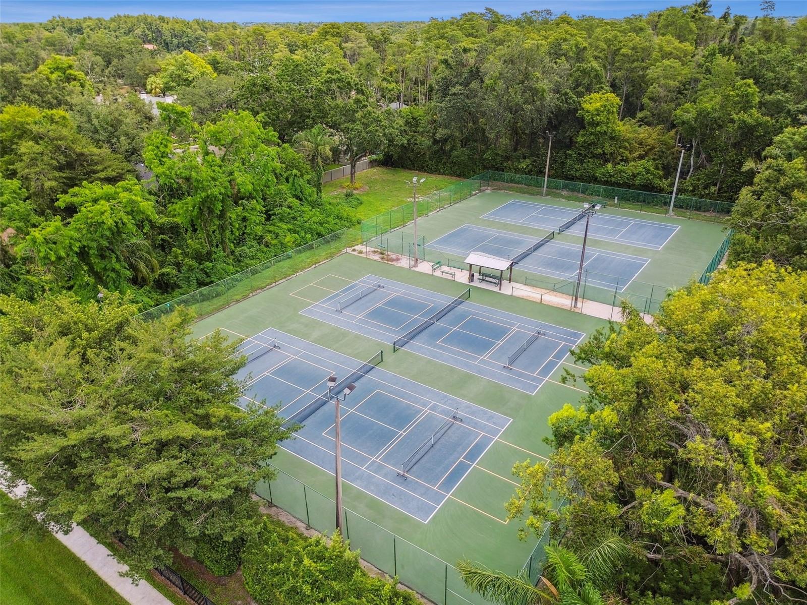 Image 40 of 51 For 3106 Lake Ellen Drive