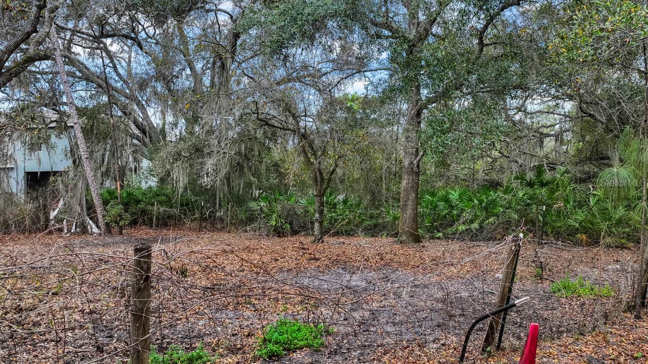 Image 15 of 18 For 12730 Bullfrog Creek Road