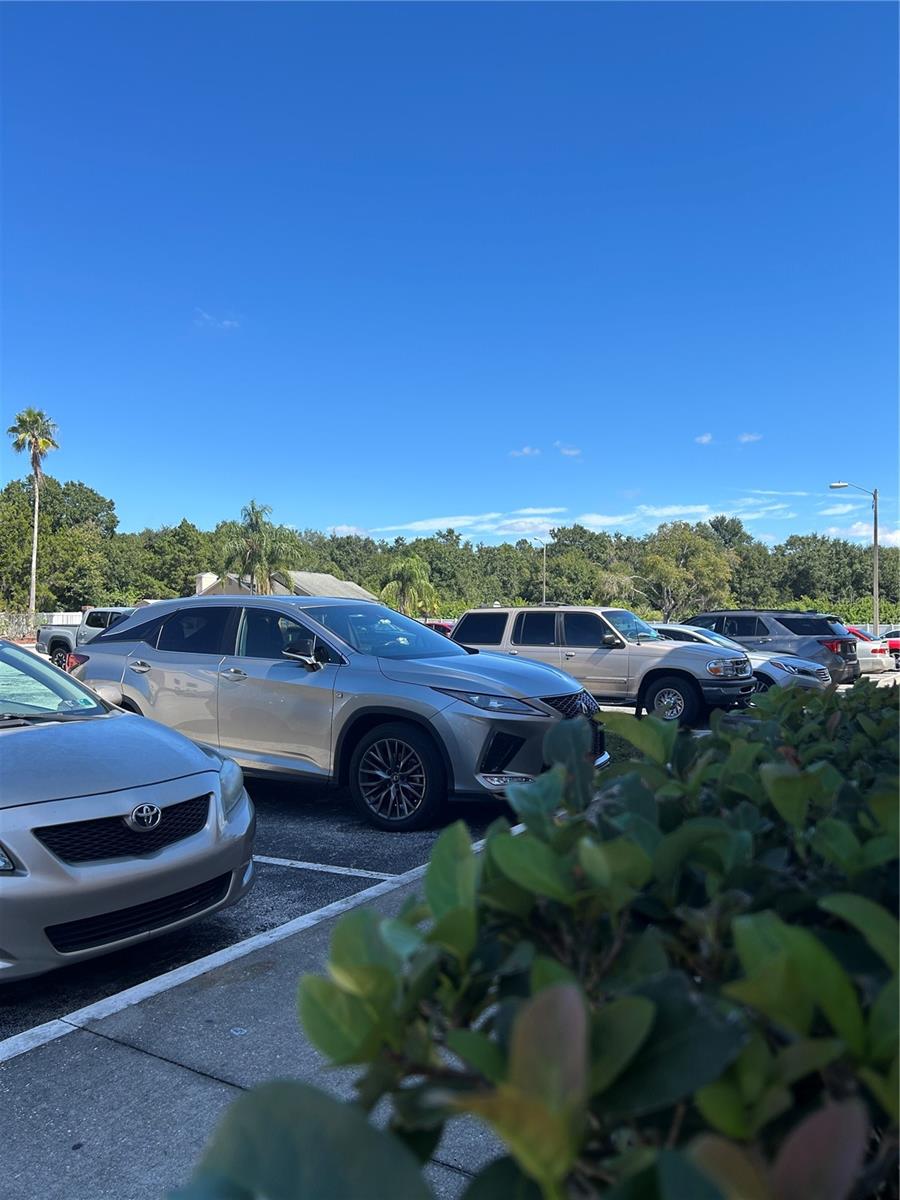 Image 21 of 25 For 4015 My Lady Lane 2