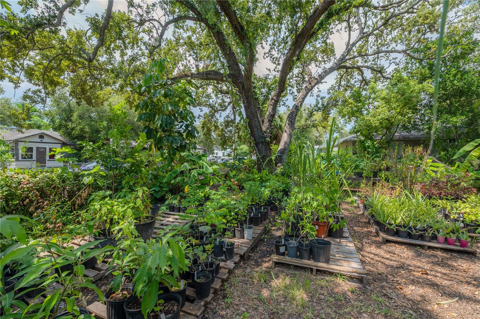 Image 51 of 59 For 655 Paris Avenue S