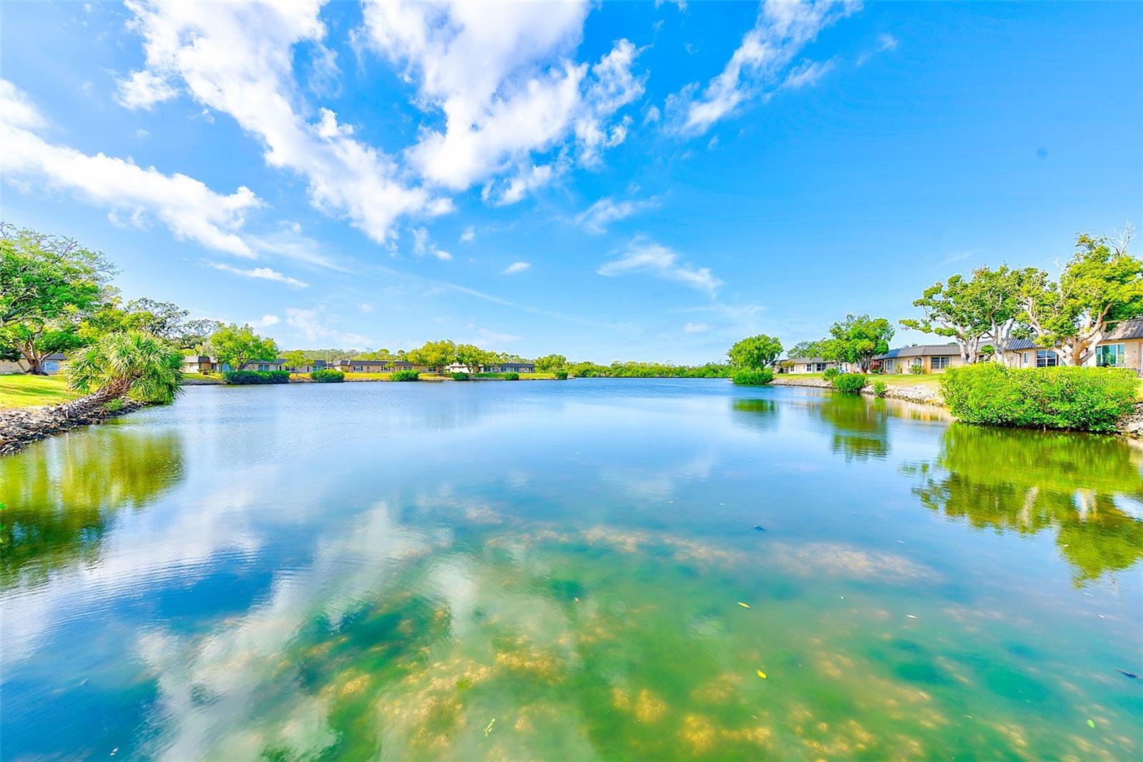 Image 41 of 41 For 4308 Summersun Drive