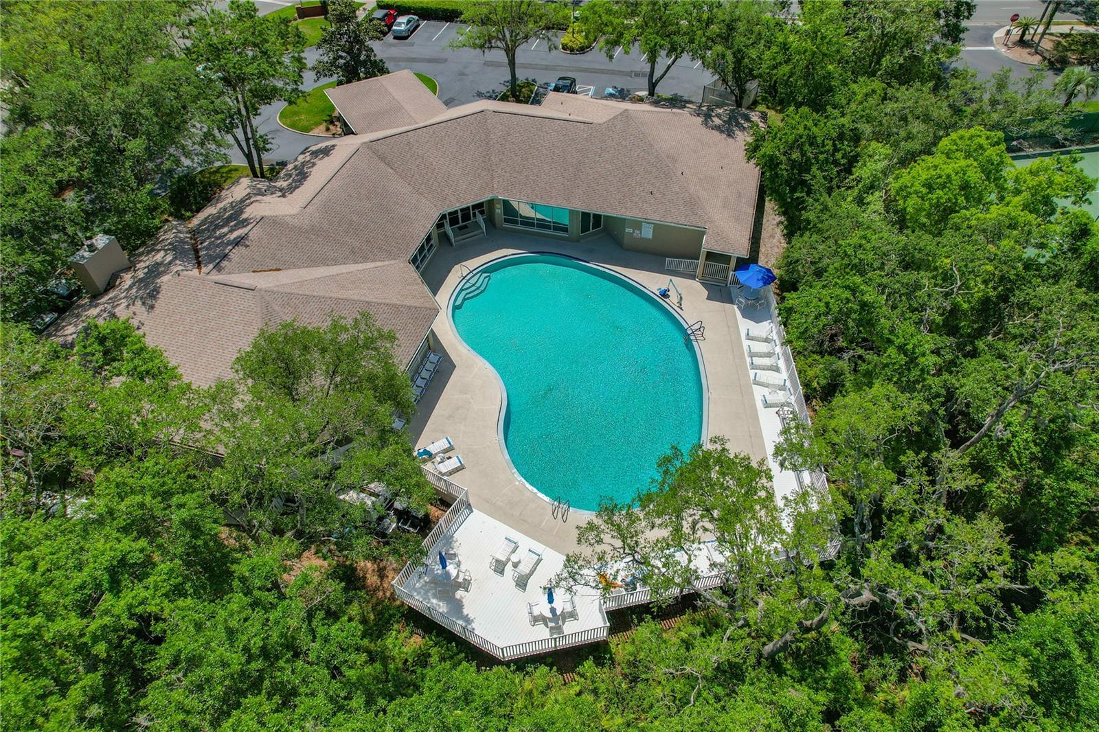 Image 30 of 46 For 34738 Double Eagle Court