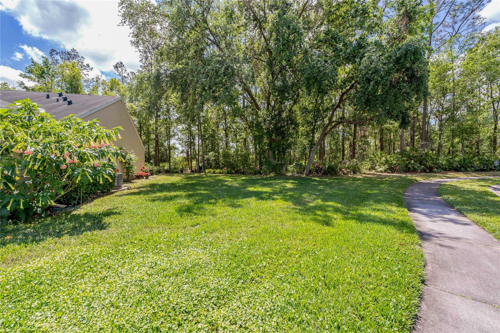 Image 4 of 46 For 34738 Double Eagle Court