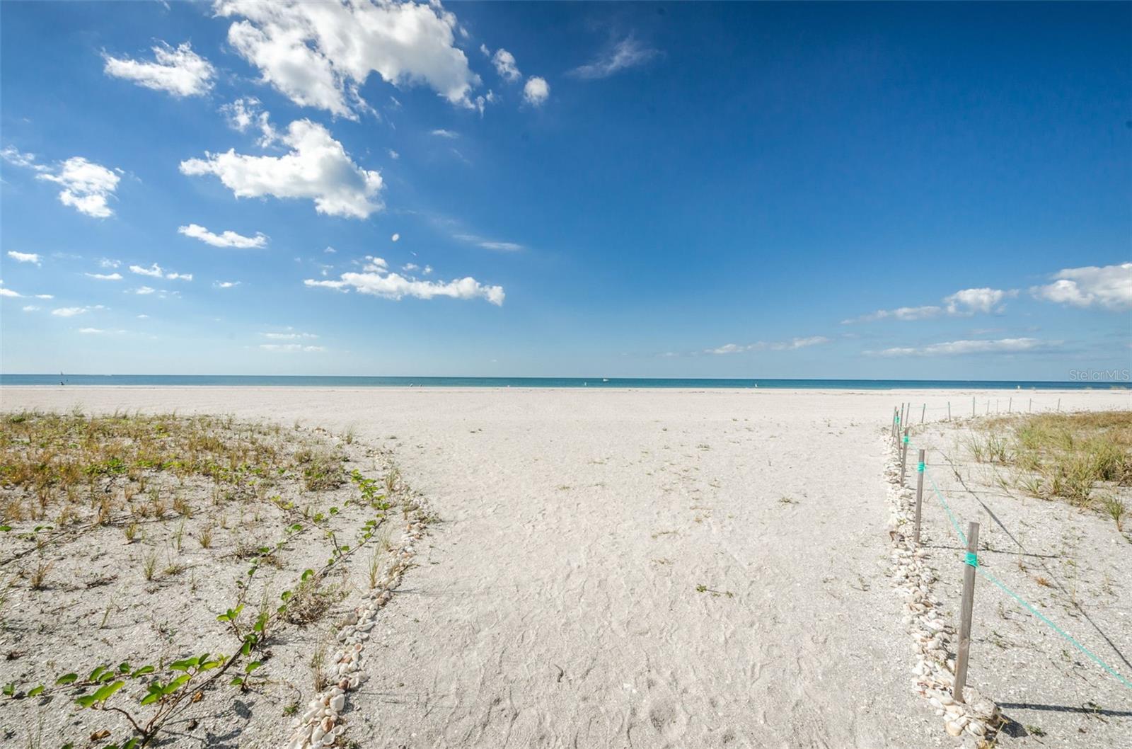 Image 48 of 79 For 1460 Gulf Boulevard 506