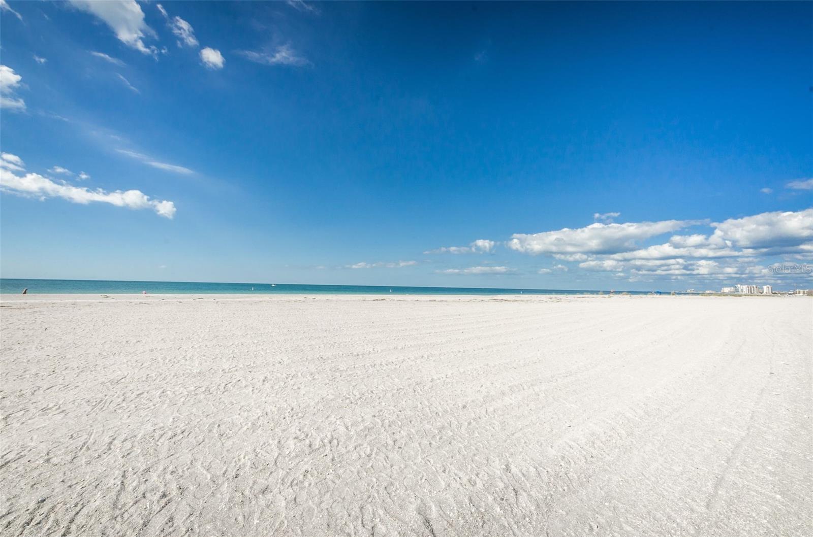 Image 49 of 79 For 1460 Gulf Boulevard 506