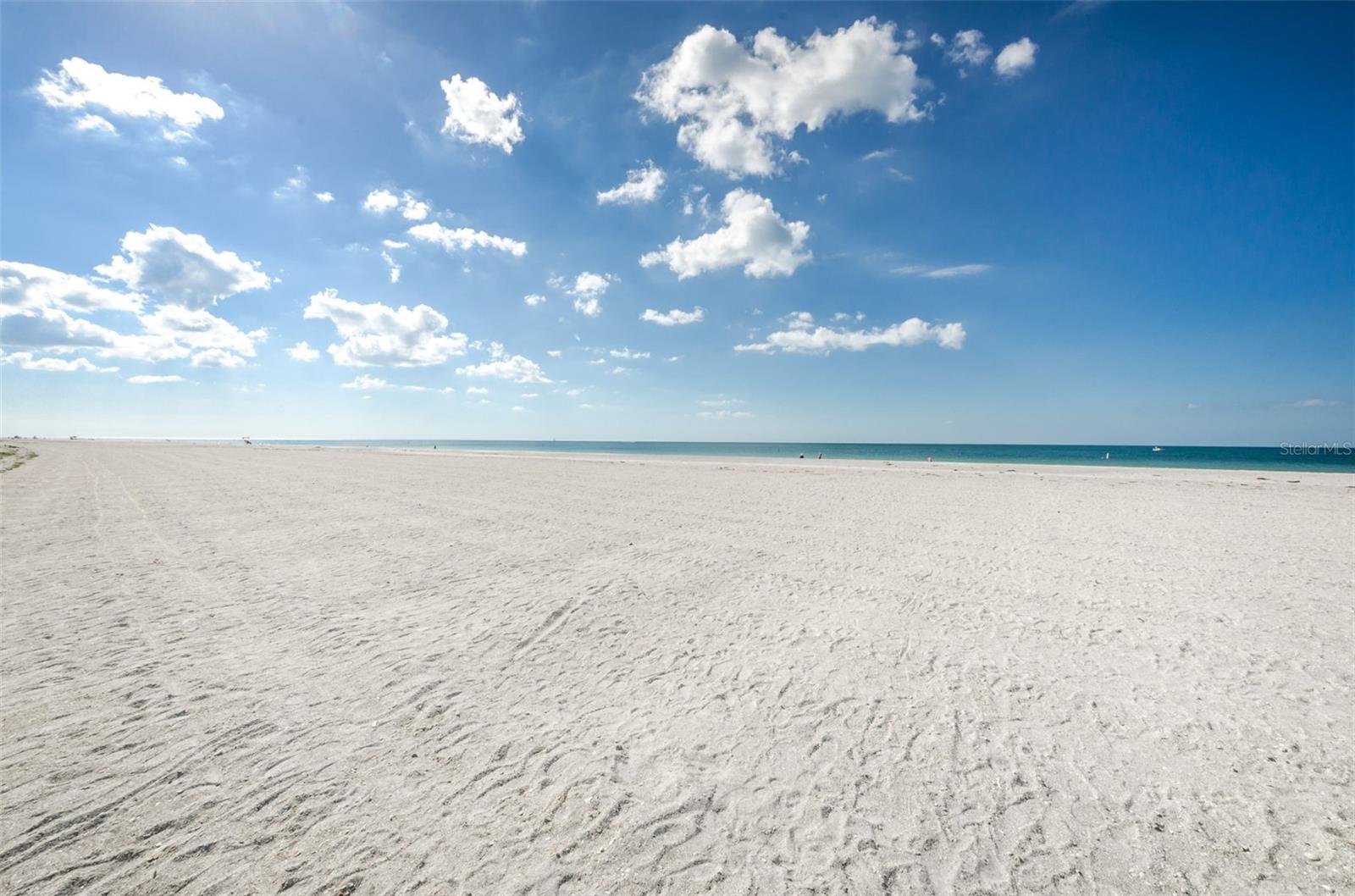 Image 50 of 79 For 1460 Gulf Boulevard 506