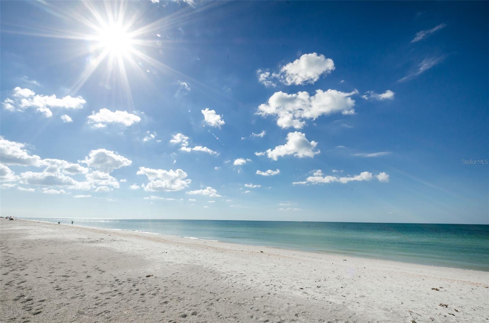 Image 51 of 79 For 1460 Gulf Boulevard 506