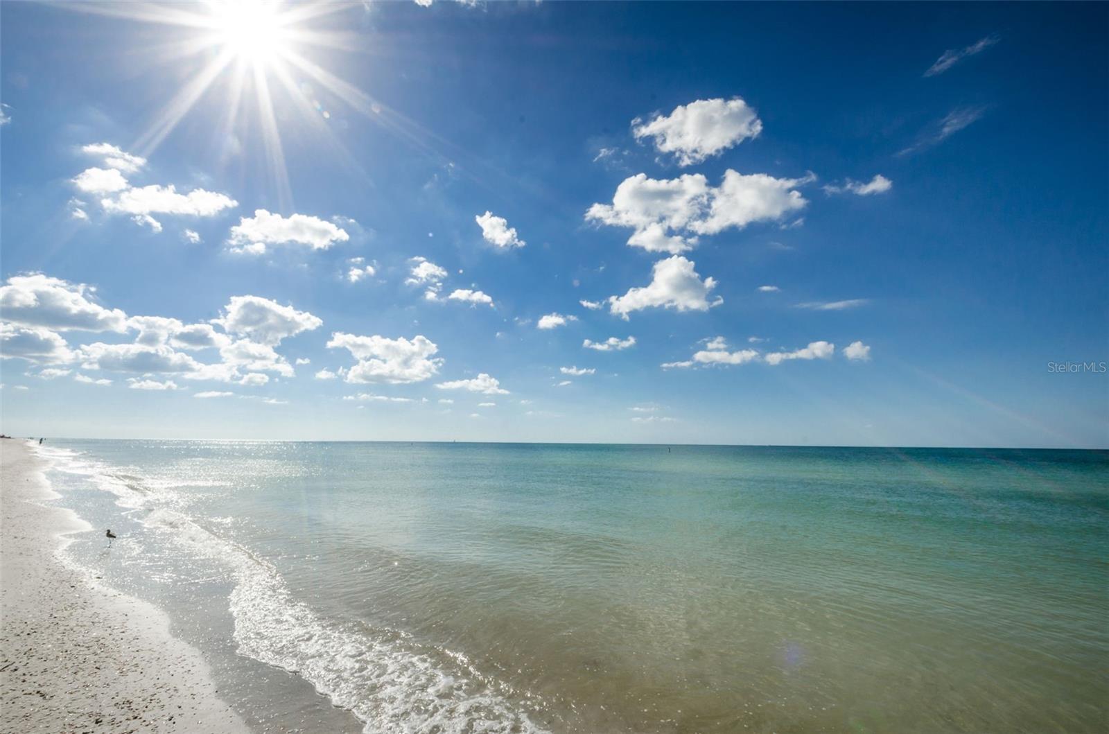 Image 52 of 79 For 1460 Gulf Boulevard 506