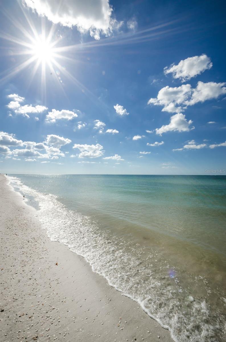 Image 53 of 79 For 1460 Gulf Boulevard 506