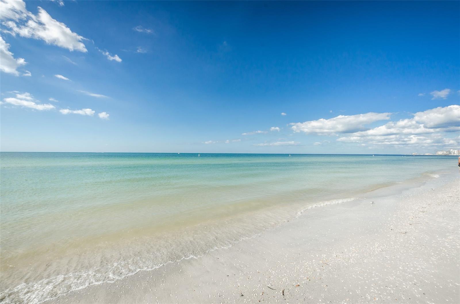 Image 54 of 79 For 1460 Gulf Boulevard 506